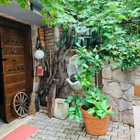 Island Krk Apartment